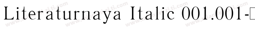 Literaturnaya Italic 001.001字体转换